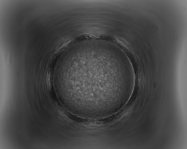 X0000085791060200703231303