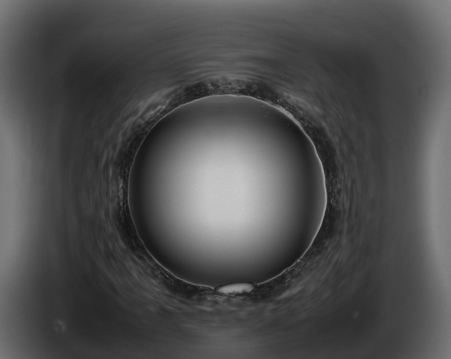 X0000085791061200703231303