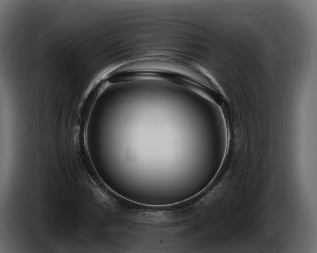 X0000085791066200703231303