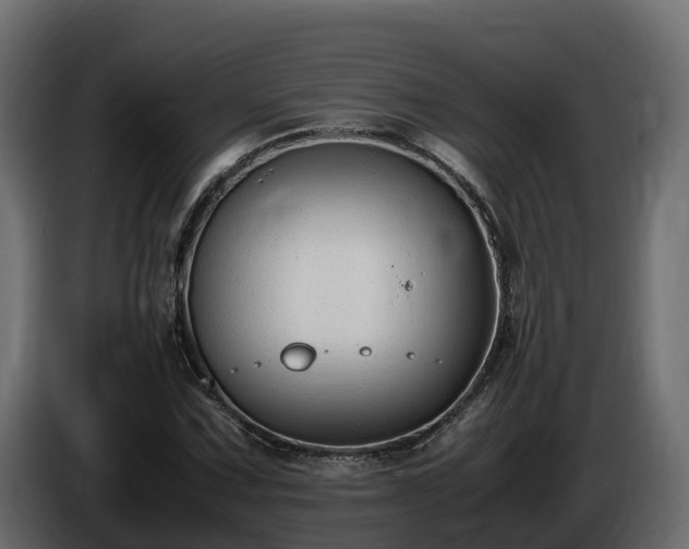 X0000085791067200703231303