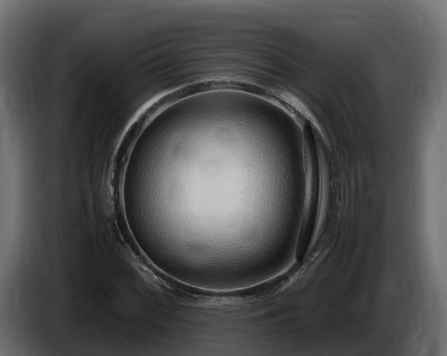 X0000085791068200703231303