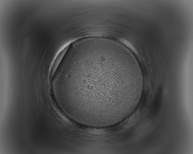 X0000085791071200703231303
