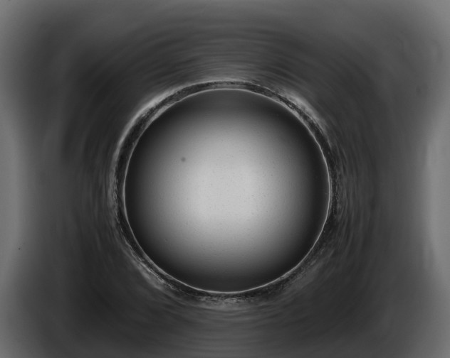 X0000085791072200703231303