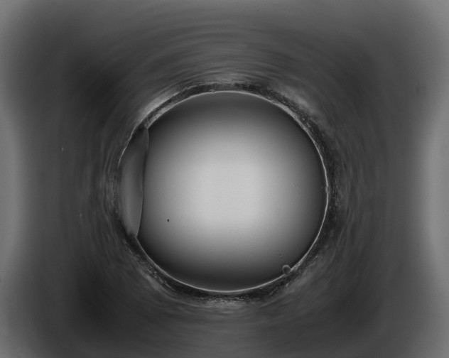 X0000085791073200703231303