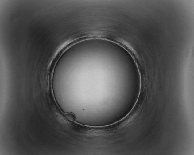 X0000085791075200703231303
