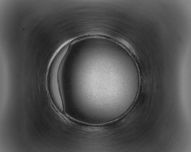 X0000085791076200703231303