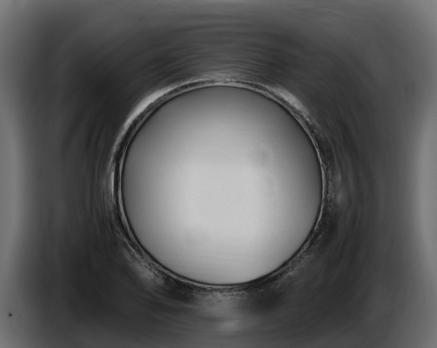 X0000085791078200703231303