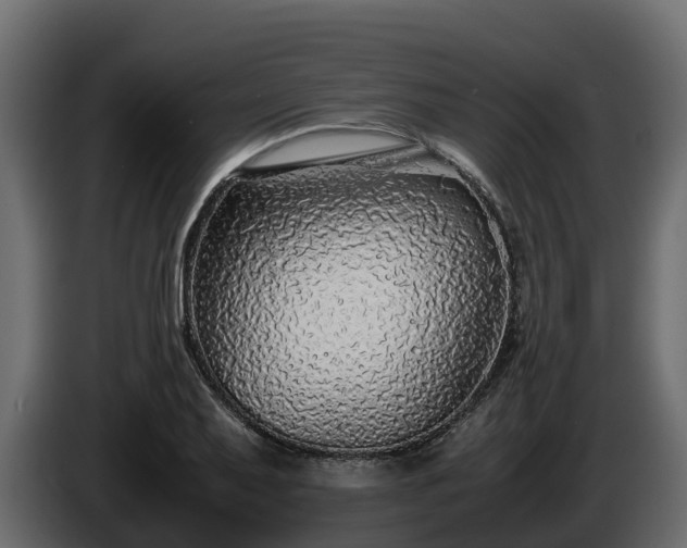 X0000085791079200703231303
