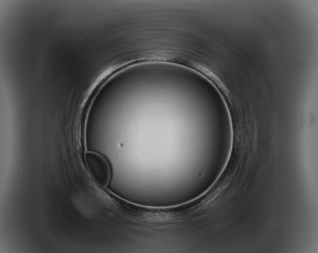 X0000085791083200703231303