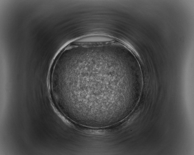X0000085791084200703231303