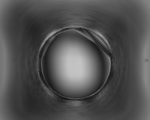 X0000085791085200703231303