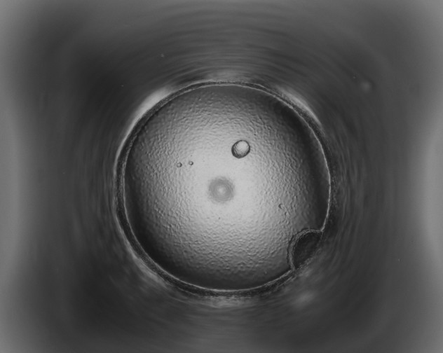 X0000085791087200703231302