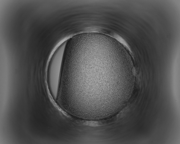 X0000085791088200703231302