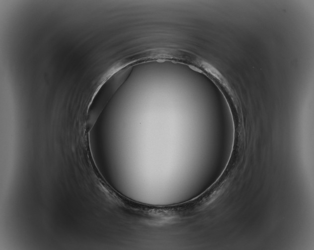 X0000085791089200703231302