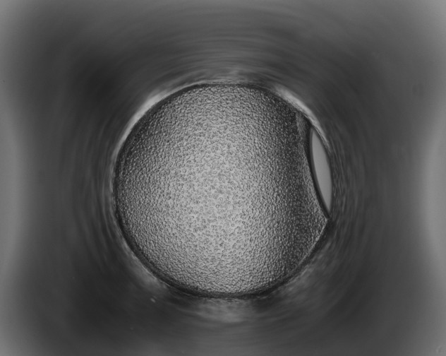 X0000085791091200703231302