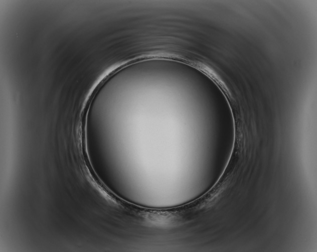 X0000085791092200703231302