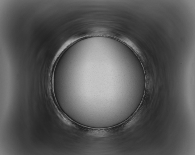 X0000085791094200703231302