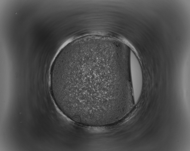 X0000085791095200703231302