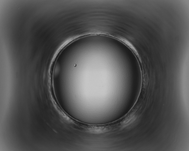 X0000085791096200703231302