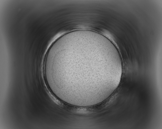 X0000085791098200703231302