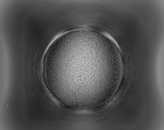 X0000085791099200703231302