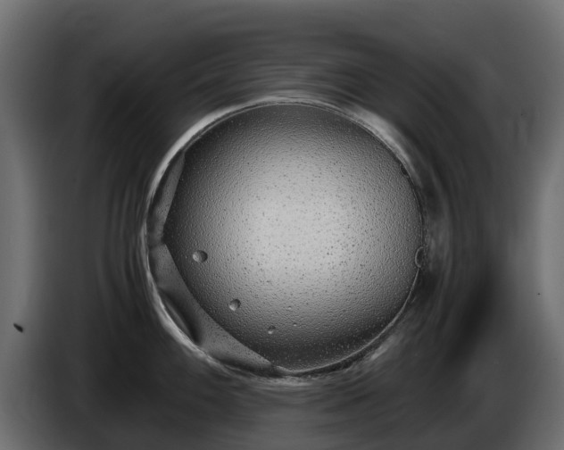 X0000085791100200703231302