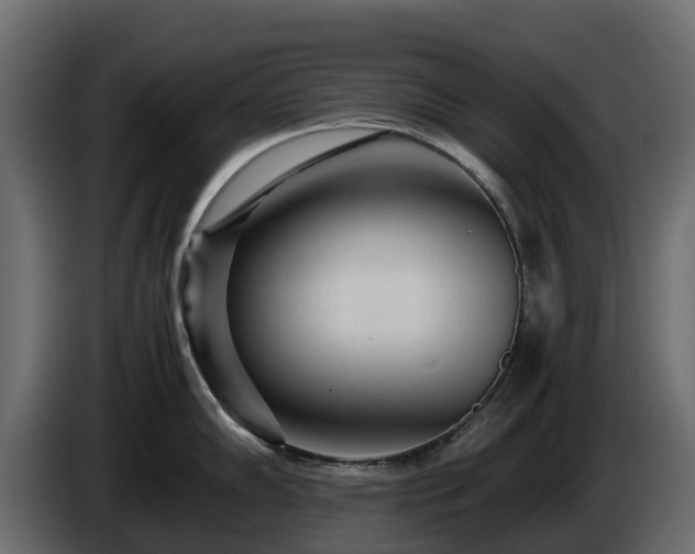X0000085791102200703231302