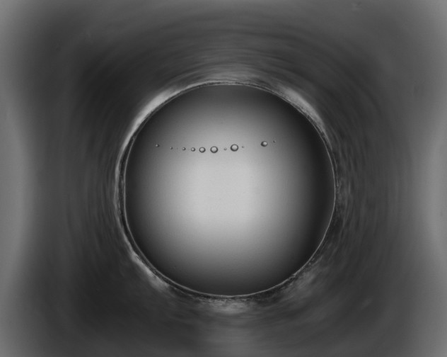X0000085791103200703231302