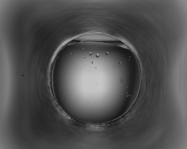 X0000085791104200703231302