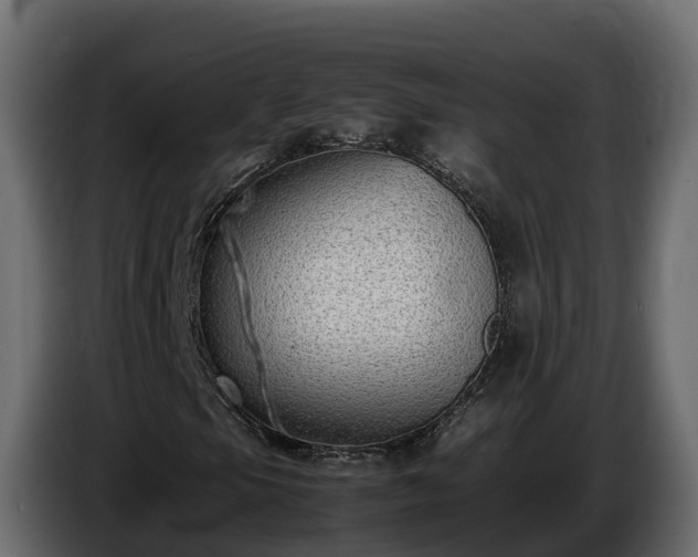 X0000085791105200703231302