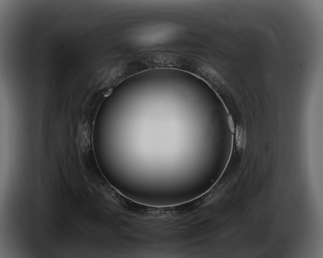 X0000085791107200703231302
