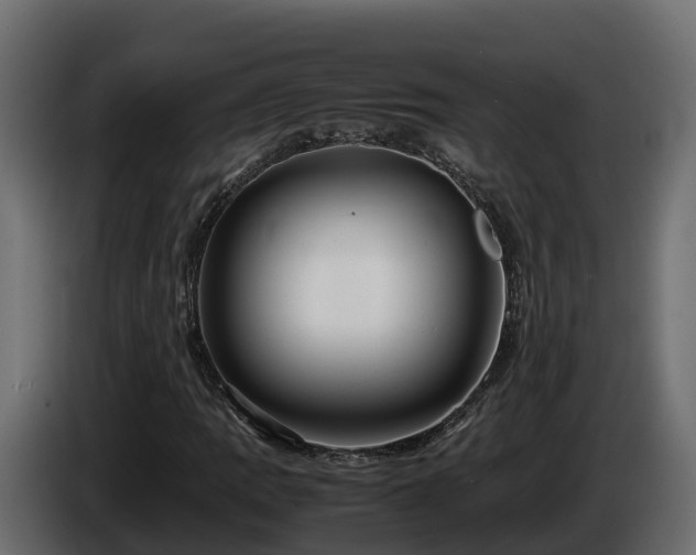 X0000085791109200703231302