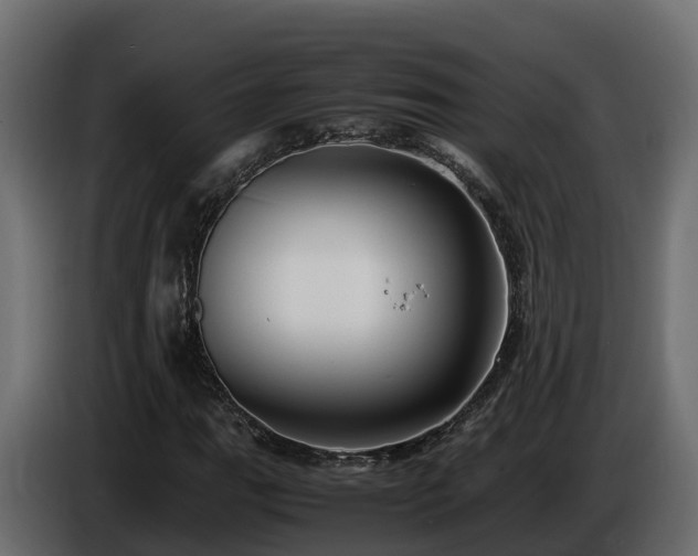 X0000085791111200703231302