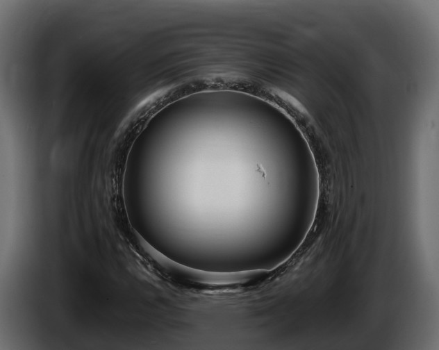 X0000085791112200703231302