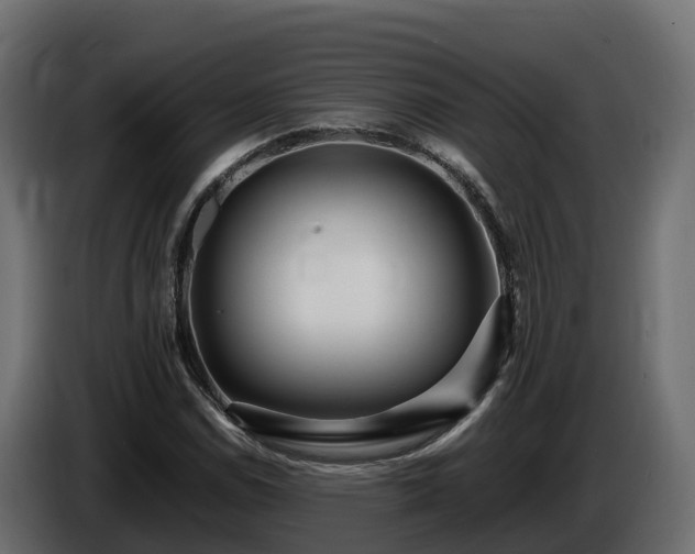 X0000085791114200703231302