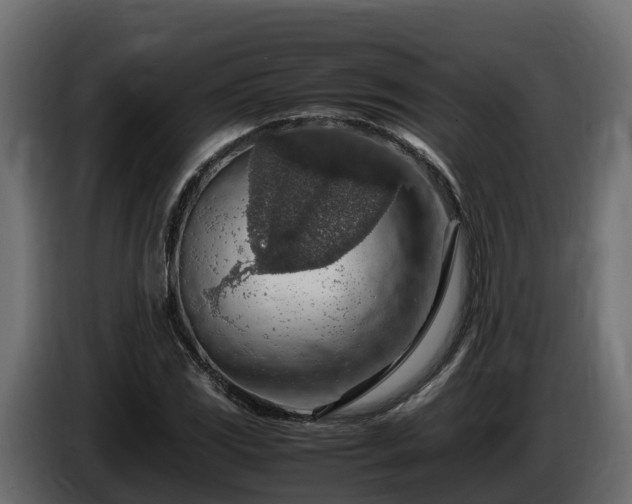 X0000085791117200703231302