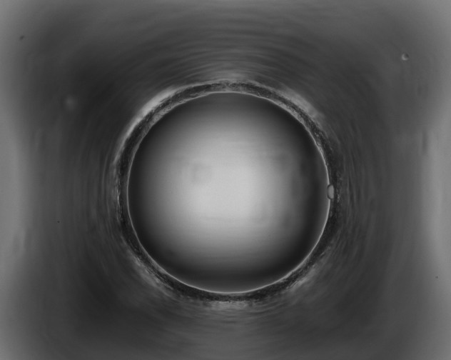 X0000085791118200703231302