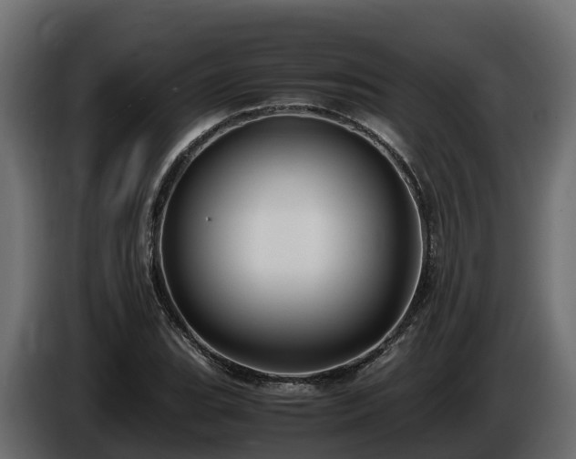 X0000085791119200703231302