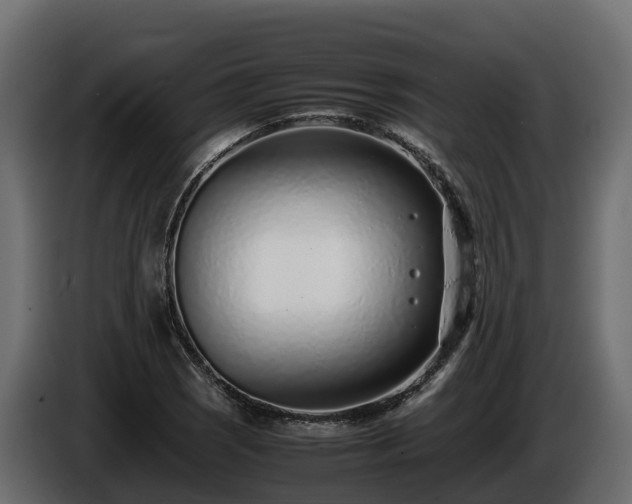 X0000085791121200703231302