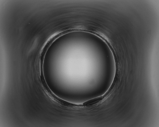 X0000085791123200703231302