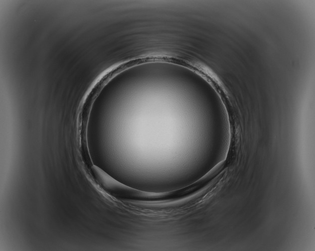 X0000085791124200703231302
