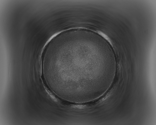 X0000085791127200703231302