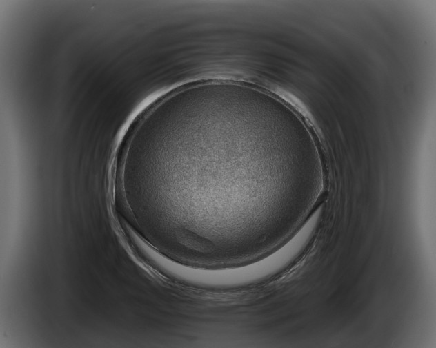 X0000085791128200703231302