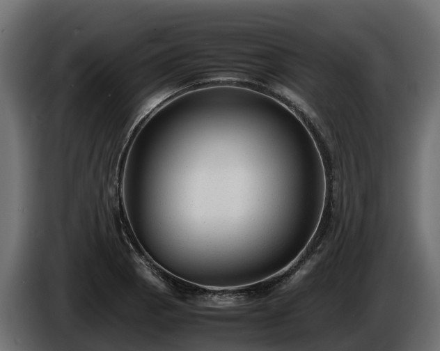 X0000085791129200703231302