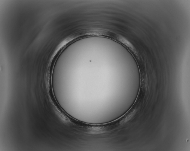 X0000085791130200703231302