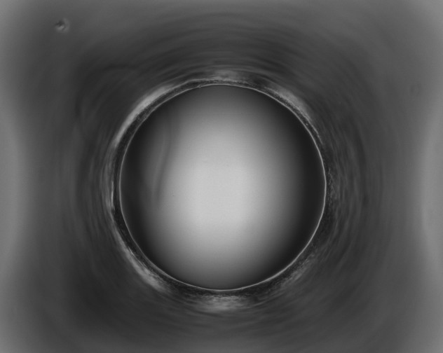X0000085791131200703231302