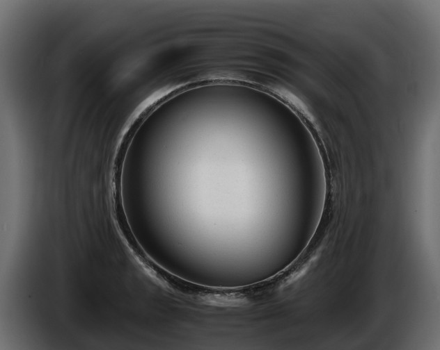 X0000085791133200703231302