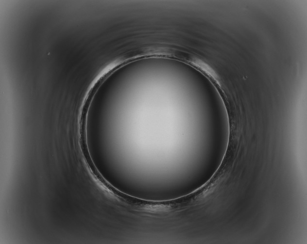 X0000085791135200703231302