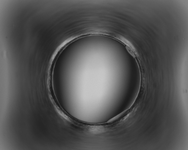 X0000085791136200703231302