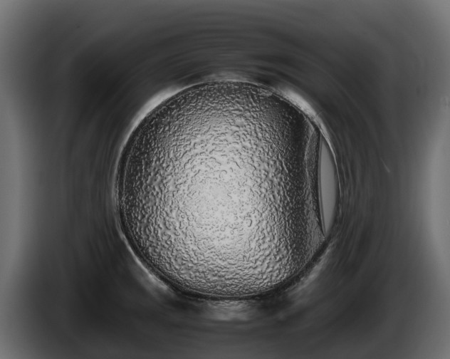 X0000085791141200703231302